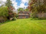 Thumbnail for sale in Old Lane, Cobham