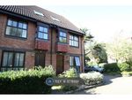 Thumbnail to rent in Badgers Close, Woking