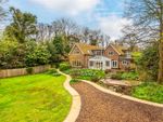 Thumbnail to rent in High Trees Road, Reigate, Surrey