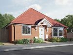 Thumbnail to rent in "The Hadleigh" at Halstead Road, Kirby Cross, Frinton-On-Sea