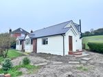 Thumbnail to rent in Cattistock, Dorchester