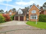 Thumbnail for sale in Strother Close, Pocklington, York