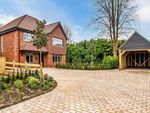 Thumbnail for sale in Primrose Drive, Boxgrove Ave, Guildford, Surrey GU1.