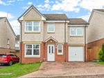 Thumbnail to rent in Forrest Place, Armadale, West Lothian