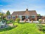 Thumbnail for sale in Greenacres, Great Bookham, Leatherhead, Surrey