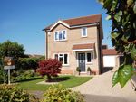 Thumbnail to rent in Kestrel Drive, Louth