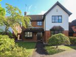 Thumbnail to rent in Horksley Gardens, Hutton, Brentwood