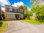 Thumbnail to rent in Petrel Close, Astley, Manchester