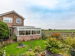 Thumbnail for sale in Sycamore Close, Skelton, York