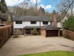 Thumbnail to rent in Box Lane, Felden, Hertfordshire