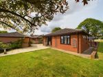Thumbnail for sale in Redhill Close, Diss