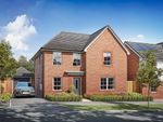 Thumbnail for sale in "Radleigh" at St. Laurence Avenue, Allington, Maidstone