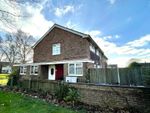 Thumbnail to rent in Gorse Walk, Colchester