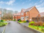 Thumbnail to rent in Potter Close, Hurstpierpoint, West Sussex