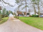 Thumbnail to rent in The Avenue, Wroxham