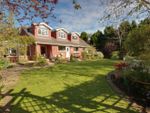 Thumbnail to rent in Copandale Road, Beverley