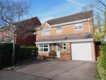Thumbnail for sale in St Maughans Close, Monmouth, Monmouthshire
