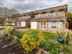 Thumbnail for sale in Island Close, Hayling Island