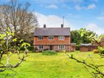 Thumbnail for sale in Plaws Hill, Peaslake, Guildford, Surrey