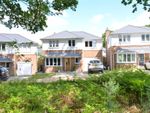 Thumbnail for sale in Cullwood Lane, New Milton, Hampshire