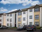 Thumbnail to rent in Countess Park, Inverness