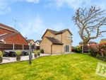 Thumbnail for sale in Broad Oaks, Wickford, Essex