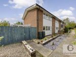 Thumbnail to rent in Cedar Way, Brundall