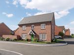 Thumbnail to rent in "The Spruce" at Hayloft Way, Nuneaton