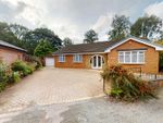 Thumbnail for sale in Springfield Lane, Eccleston, St Helens, 5