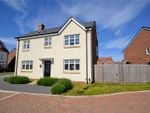 Thumbnail to rent in Yew Grove, Humberston