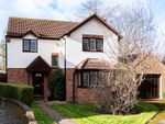 Thumbnail to rent in Dernside Close, Wellington, Hereford