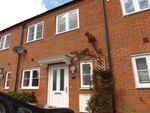 Thumbnail to rent in Primrose Fields, Bedford