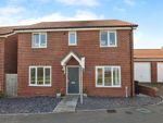 Thumbnail to rent in Florence Way, Exeter