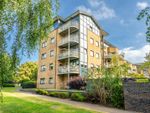 Thumbnail to rent in Florence House, Eboracum Way, York