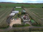 Thumbnail for sale in Kennels, Cattery &amp; Equestrian Businesses CB10, Great Chesterford, Essex