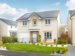 Thumbnail to rent in "Corgarff" at Rowallan Drive, Newarthill, Motherwell