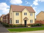 Thumbnail to rent in "The Thespian" at Cedar Close, Bacton, Stowmarket