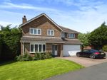 Thumbnail to rent in Thornton Garth, Yarm