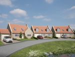 Thumbnail to rent in Carr Hill Lane, Briggswath, Whitby