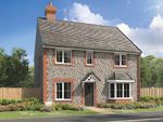 Thumbnail to rent in "The Shelford - Plot 153" at Eider Drive, Chichester
