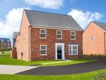 Thumbnail to rent in "Avondale" at Hassall Road, Alsager, Stoke-On-Trent