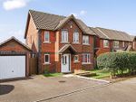 Thumbnail to rent in Mare Bay Close, St. Leonards-On-Sea