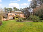 Thumbnail to rent in Hammer Lane, Hindhead