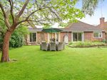 Thumbnail for sale in Glenavon Close, Claygate