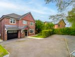 Thumbnail to rent in Cypress Close, Clayton-Le-Woods, Chorley