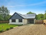 Thumbnail for sale in Wymondham Road, Bunwell, Norwich, Norfolk