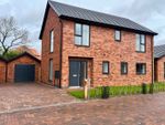 Thumbnail to rent in Brailsford Court, Harworth