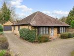 Thumbnail to rent in Codicote Road, Welwyn