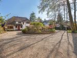 Thumbnail for sale in Guildford Road, East Horsley, Leatherhead