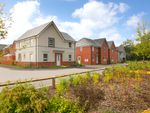 Thumbnail to rent in "Alderney" at Off Banbury Road, Upper Lighthorne, Leamington Spa